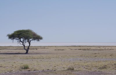Etosha National Park