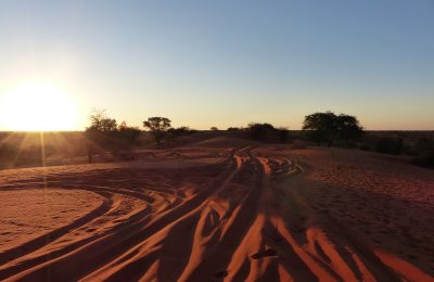 Désert du Kalahari