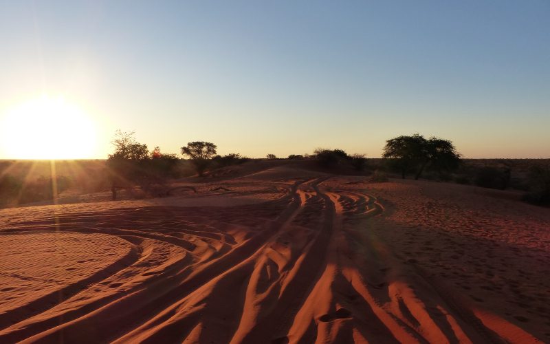 Désert du Kalahari
