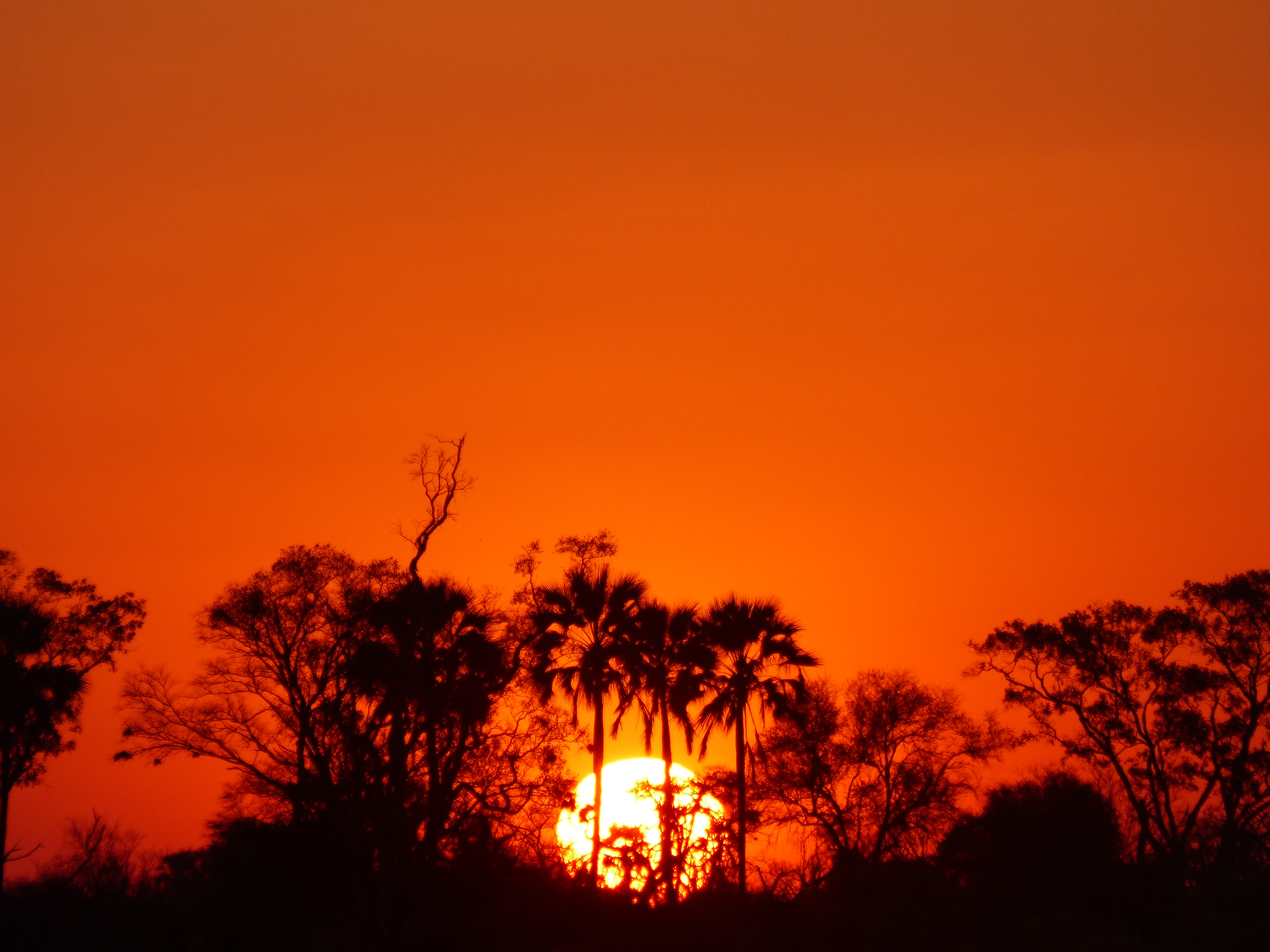 Delta de l’Okavango