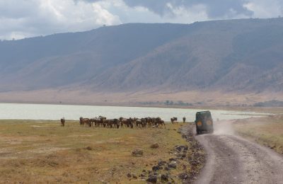 Crat├¿re de Ngorongoro