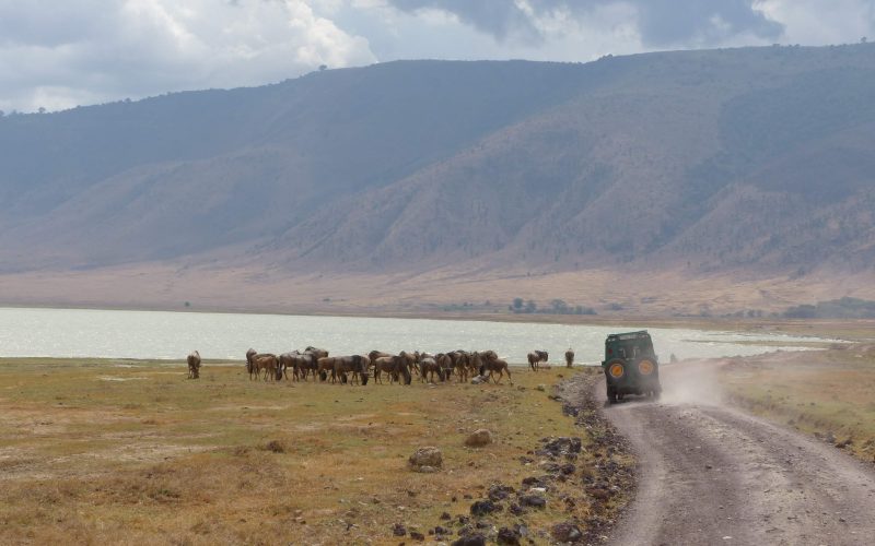 Crat├¿re de Ngorongoro