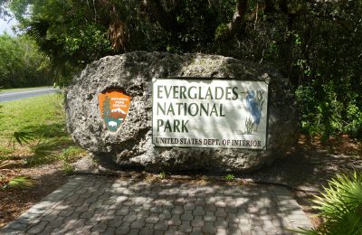 Everglades