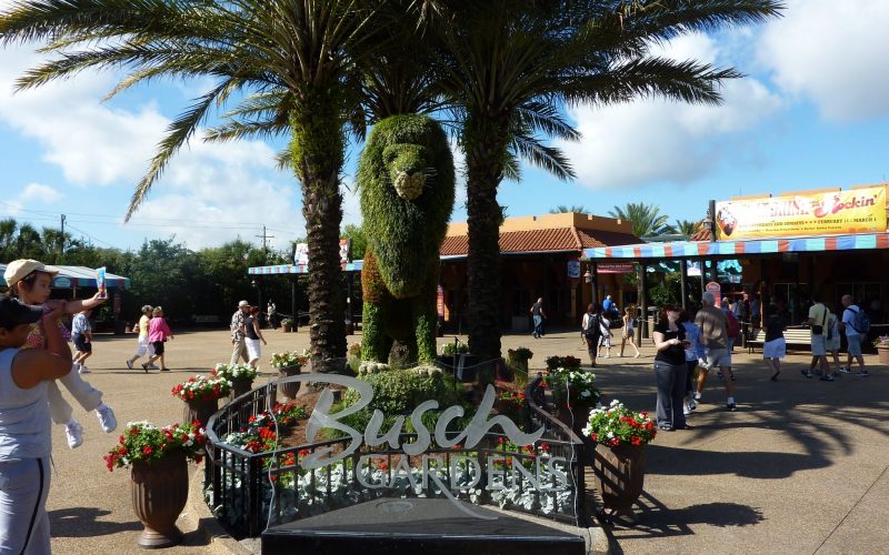 Busch Gardens