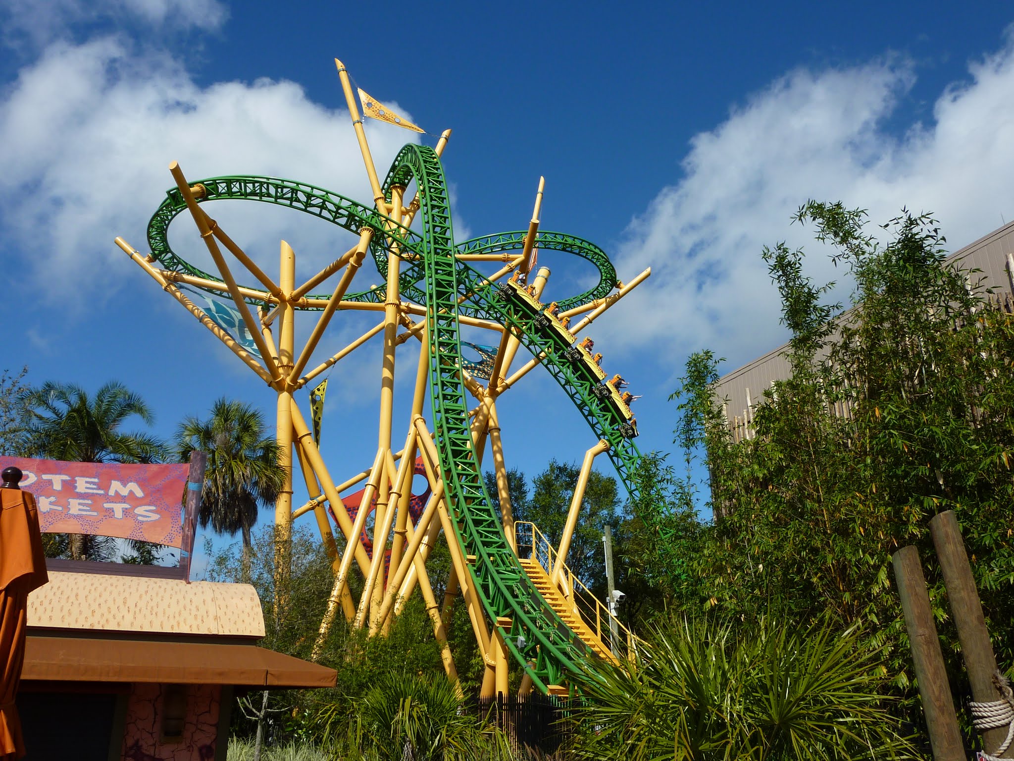 Cheetah Hunt
