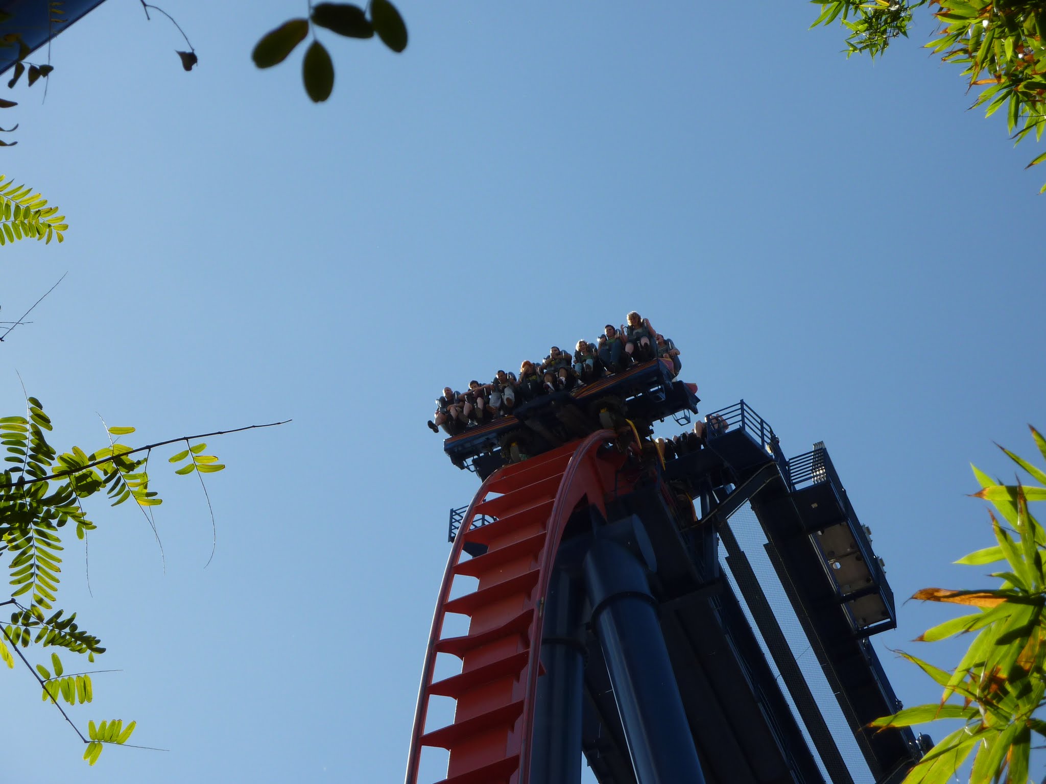 SheiKra