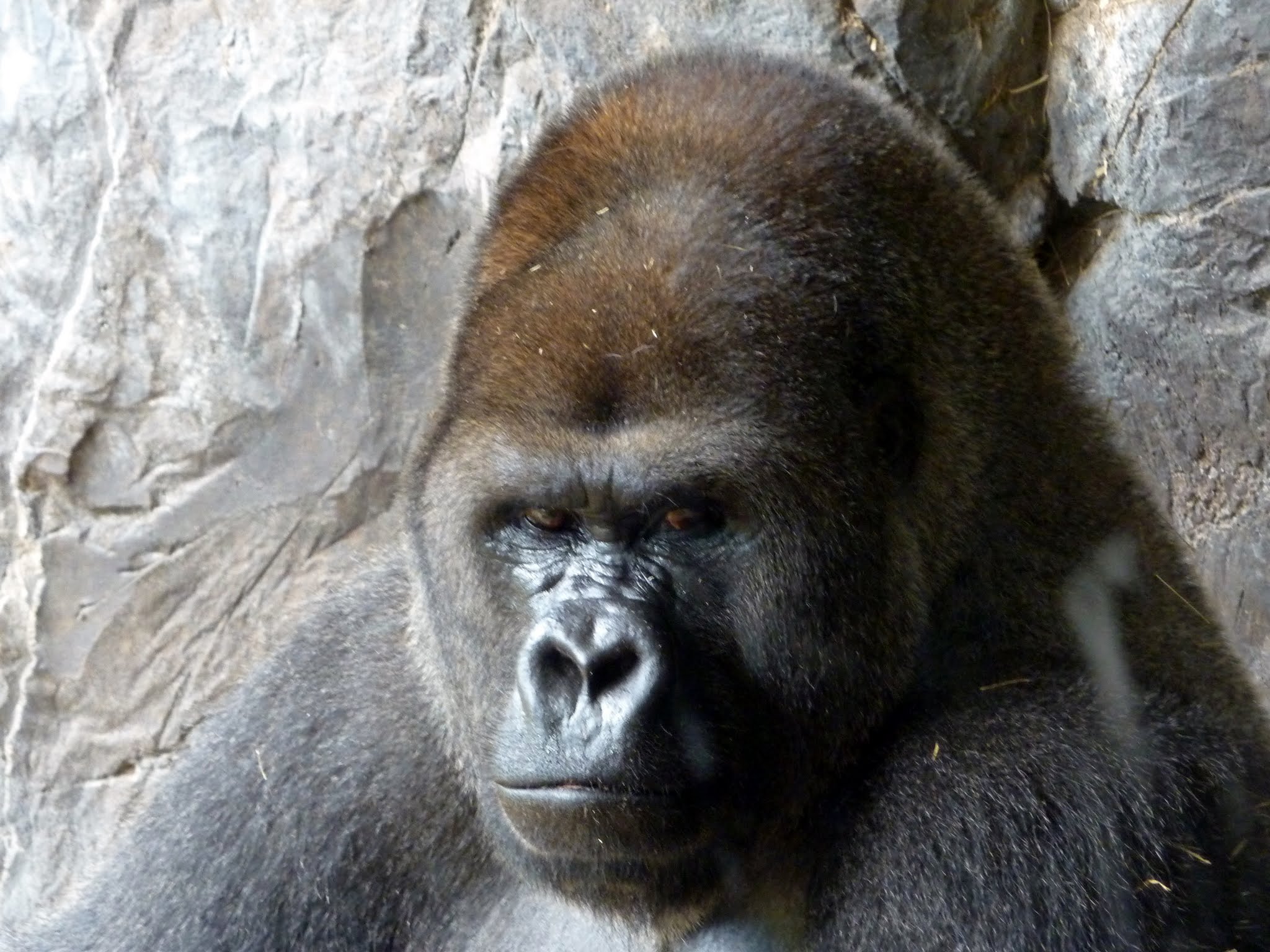Edge of Africa, Myombe Reserve, Serengeti Plain