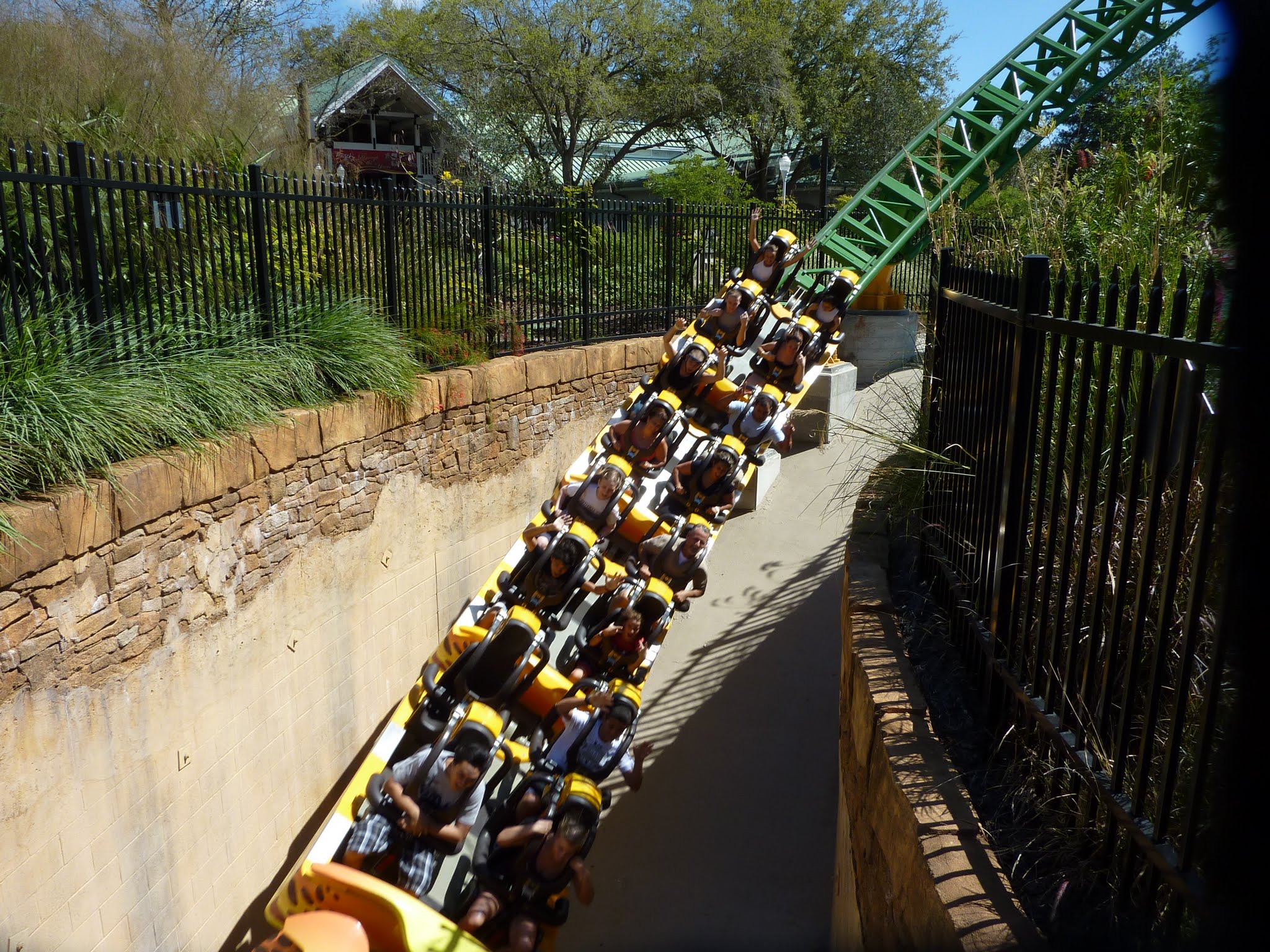 Cheetah Hunt