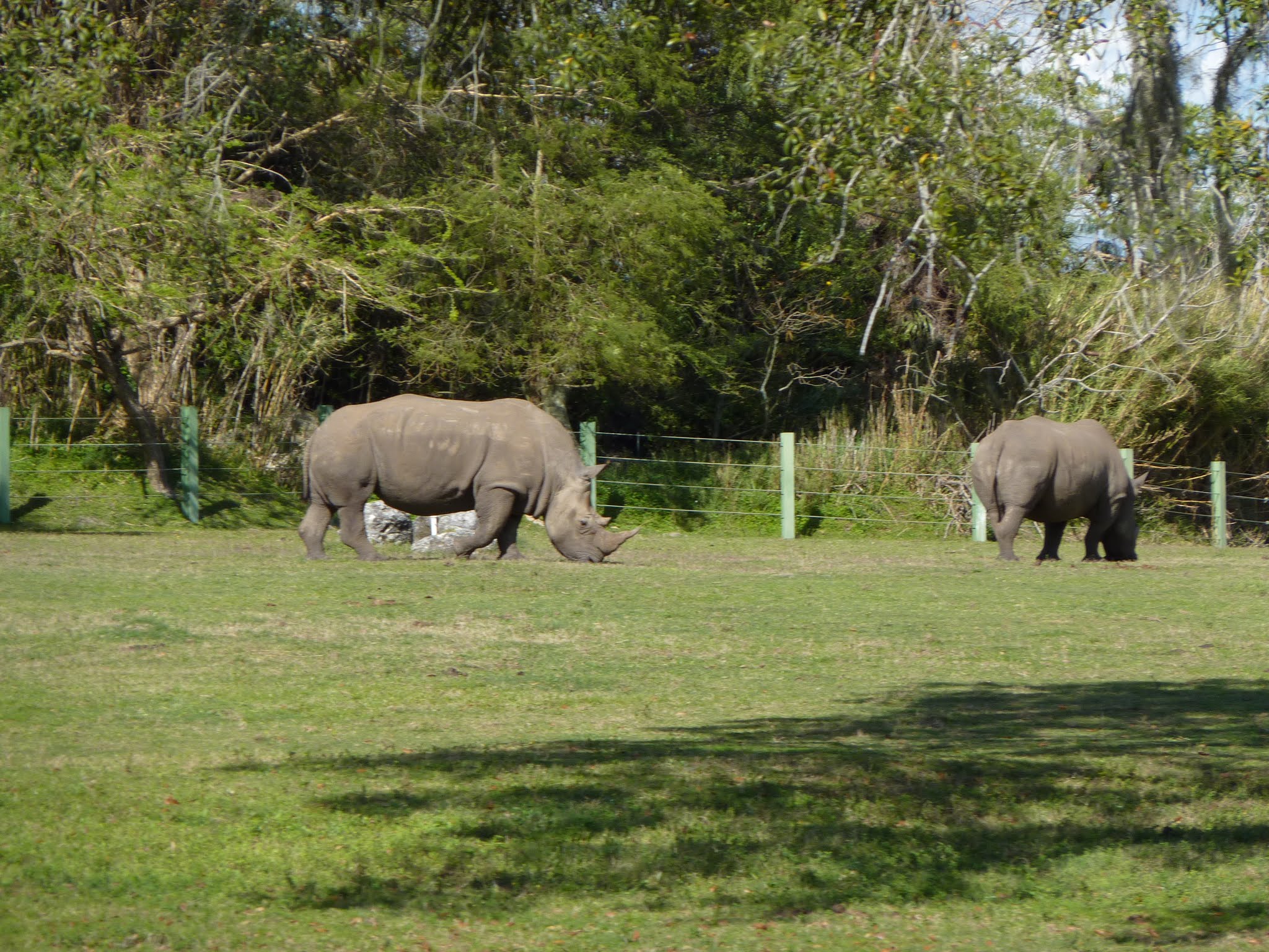 Edge of Africa, Myombe Reserve, Serengeti Plain
