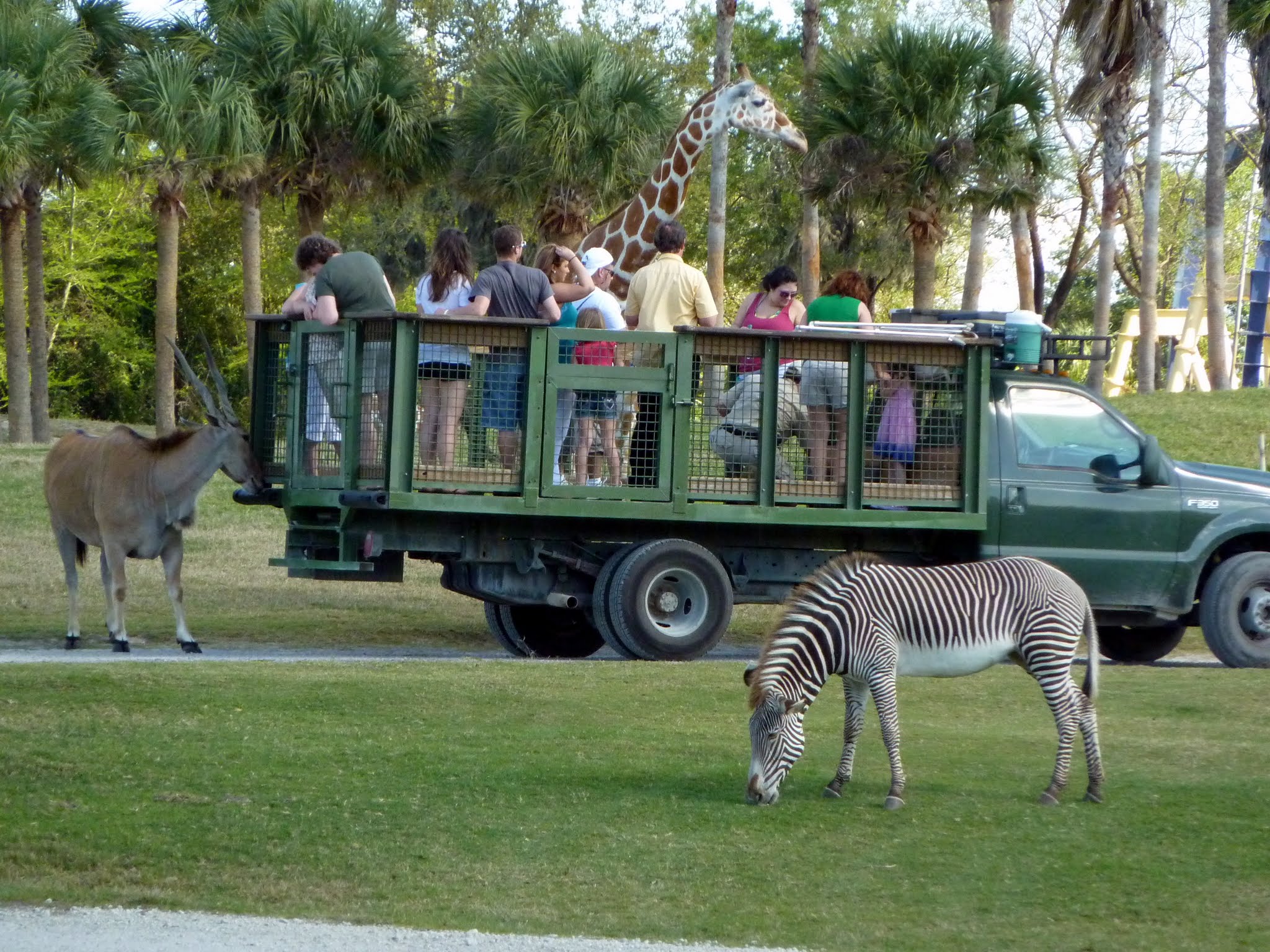 Edge of Africa, Myombe Reserve, Serengeti Plain