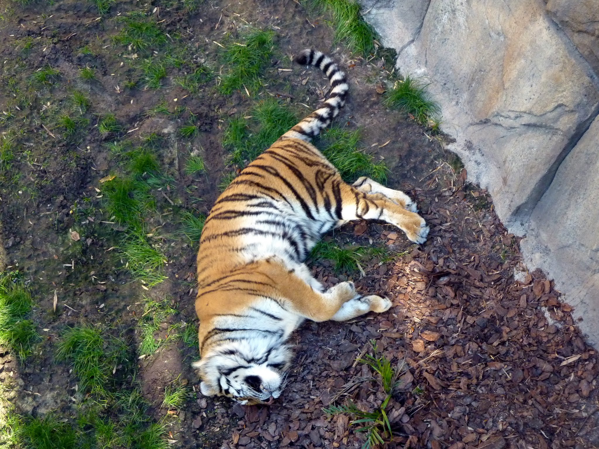 Edge of Africa, Myombe Reserve, Serengeti Plain