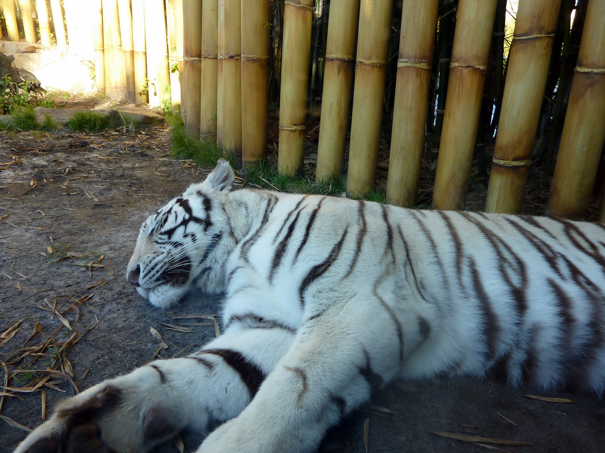 Edge of Africa, Myombe Reserve, Serengeti Plain