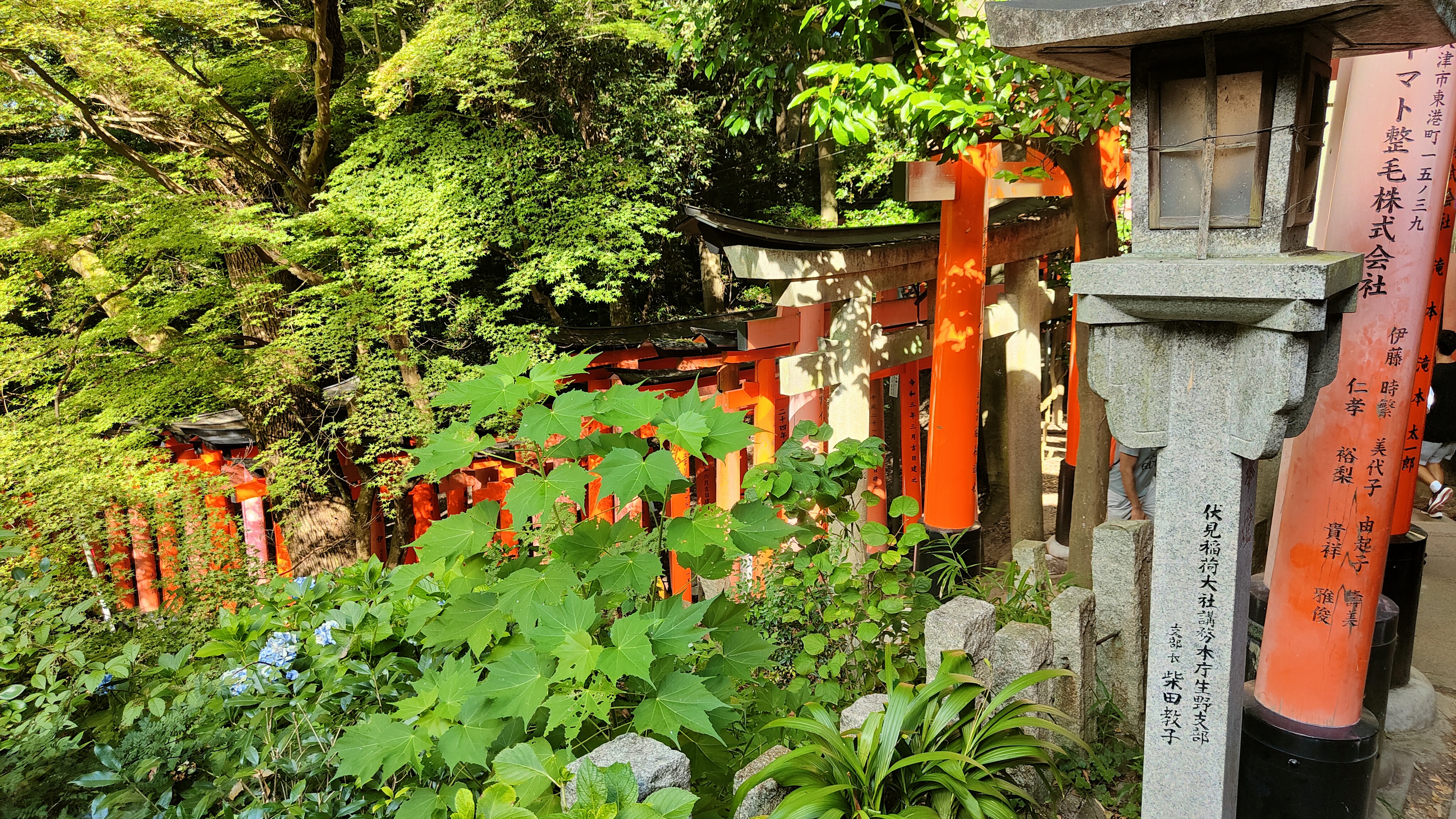 Les toriis du Fushimi Inari Taisha