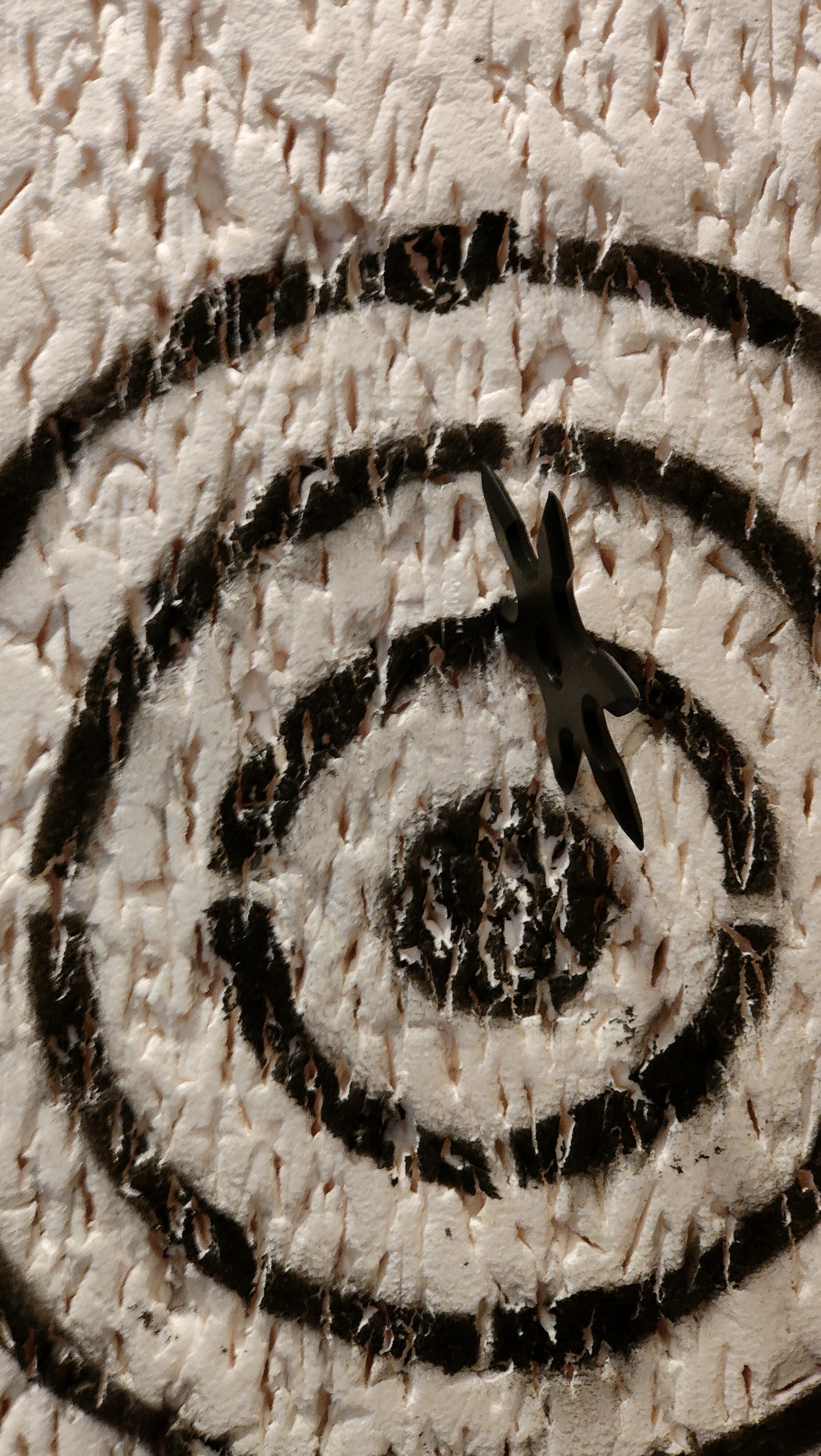 Musée Samouraï & Ninja, lancer d'étoiles