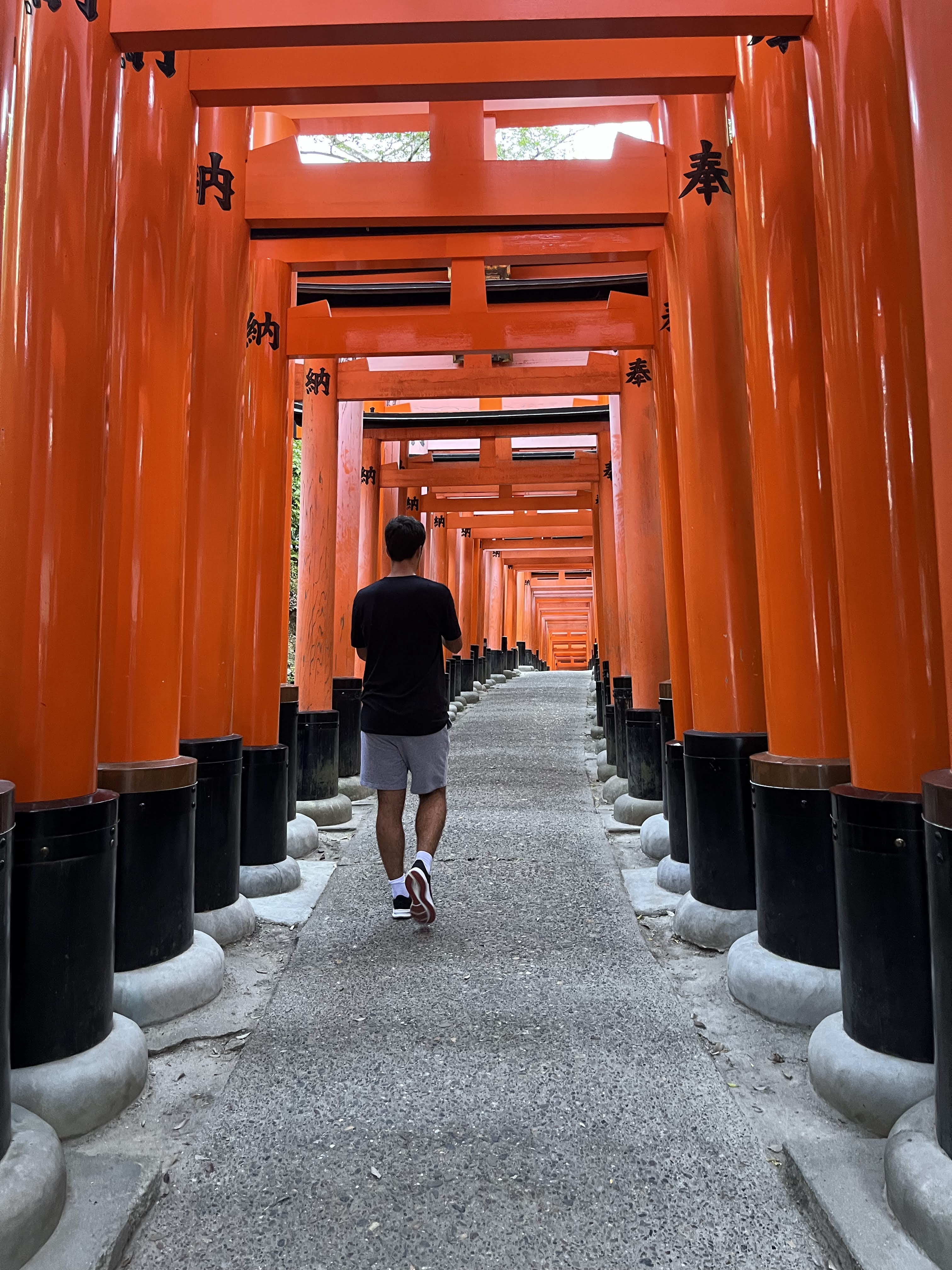 Les toriis du Fushimi Inari Taisha