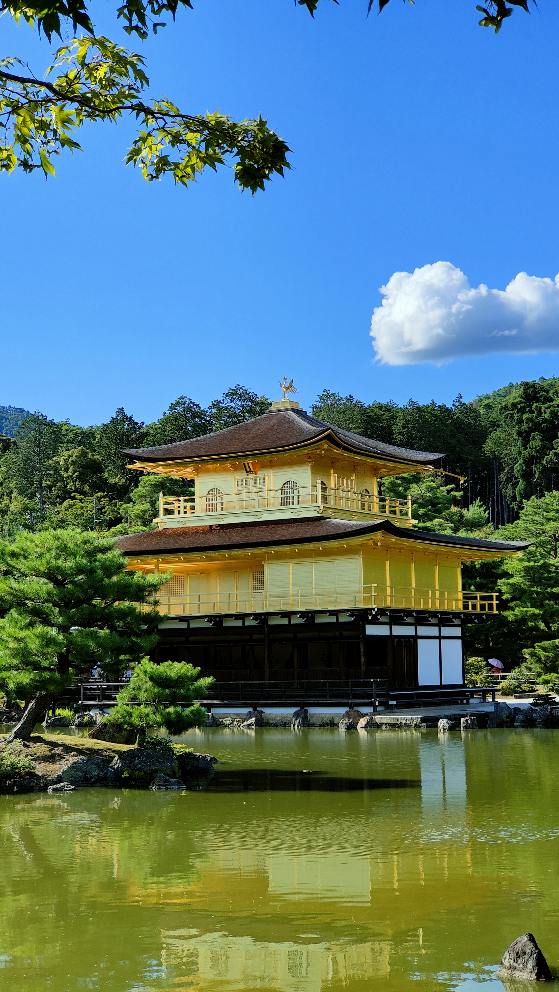 Kinkaku-ji, le Pavillon d'Or