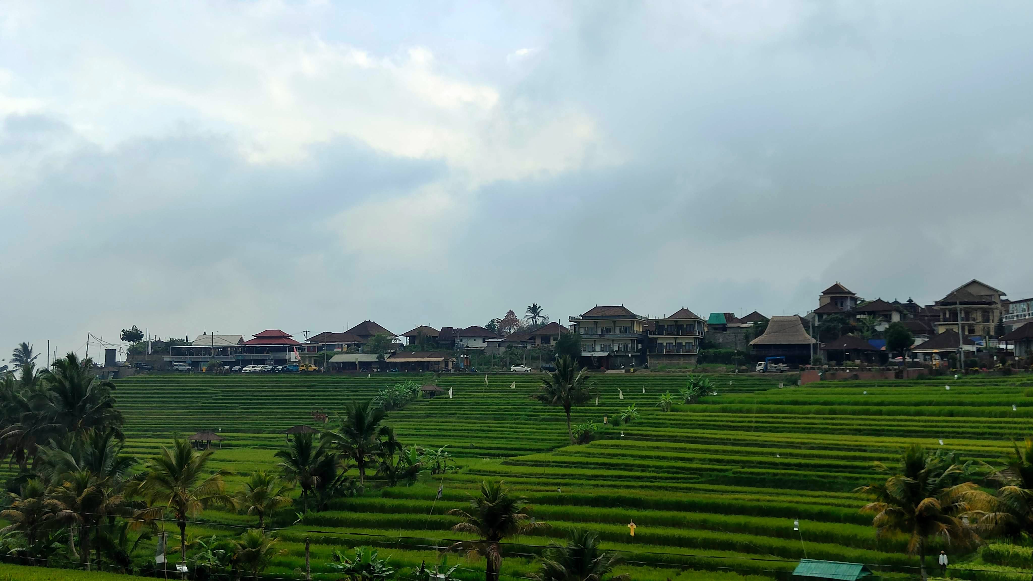 Rizières de Jatiluwih