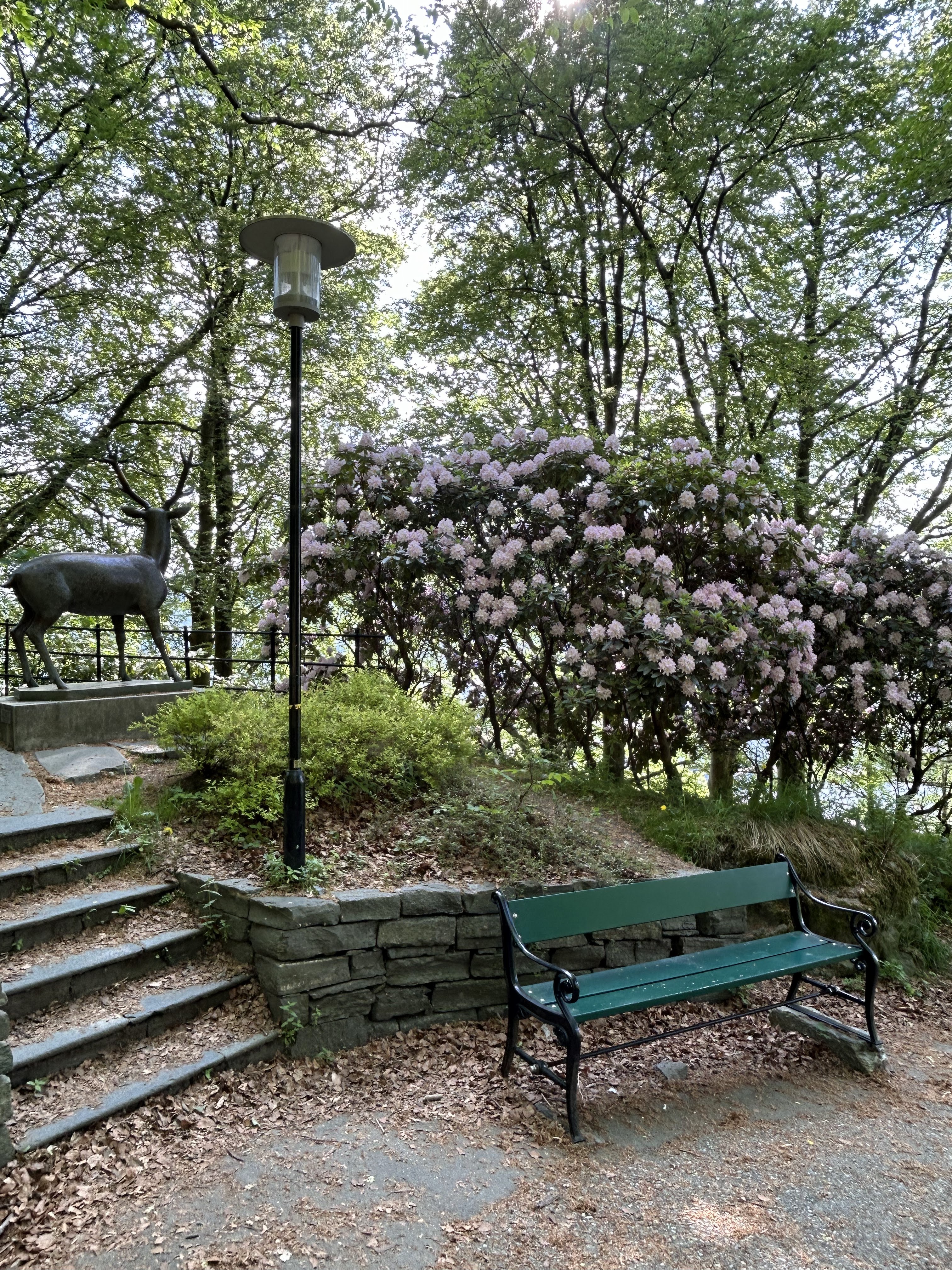 Descente du Mont Fløyen
