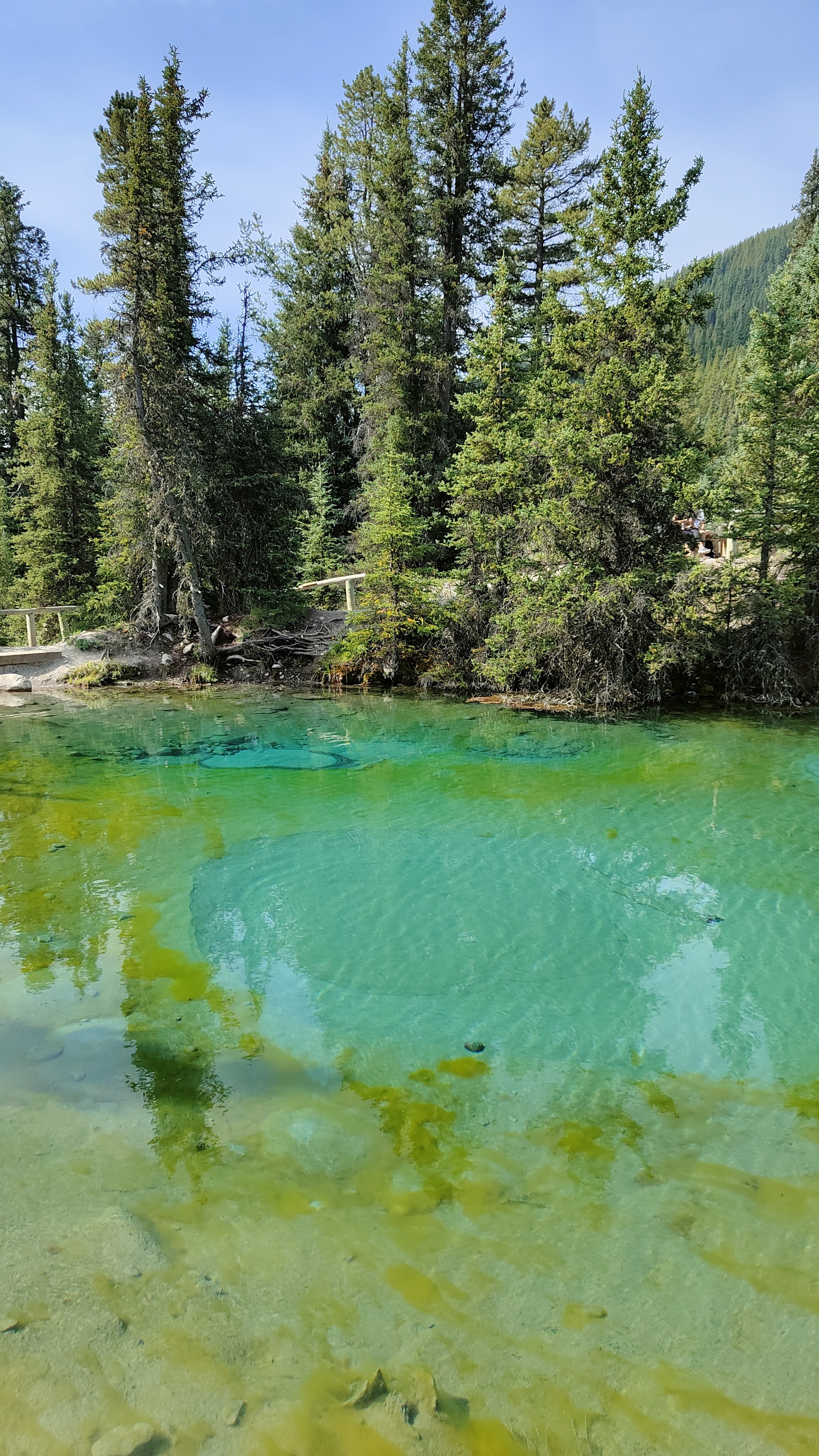 Ink Pots de Johnston Canyon