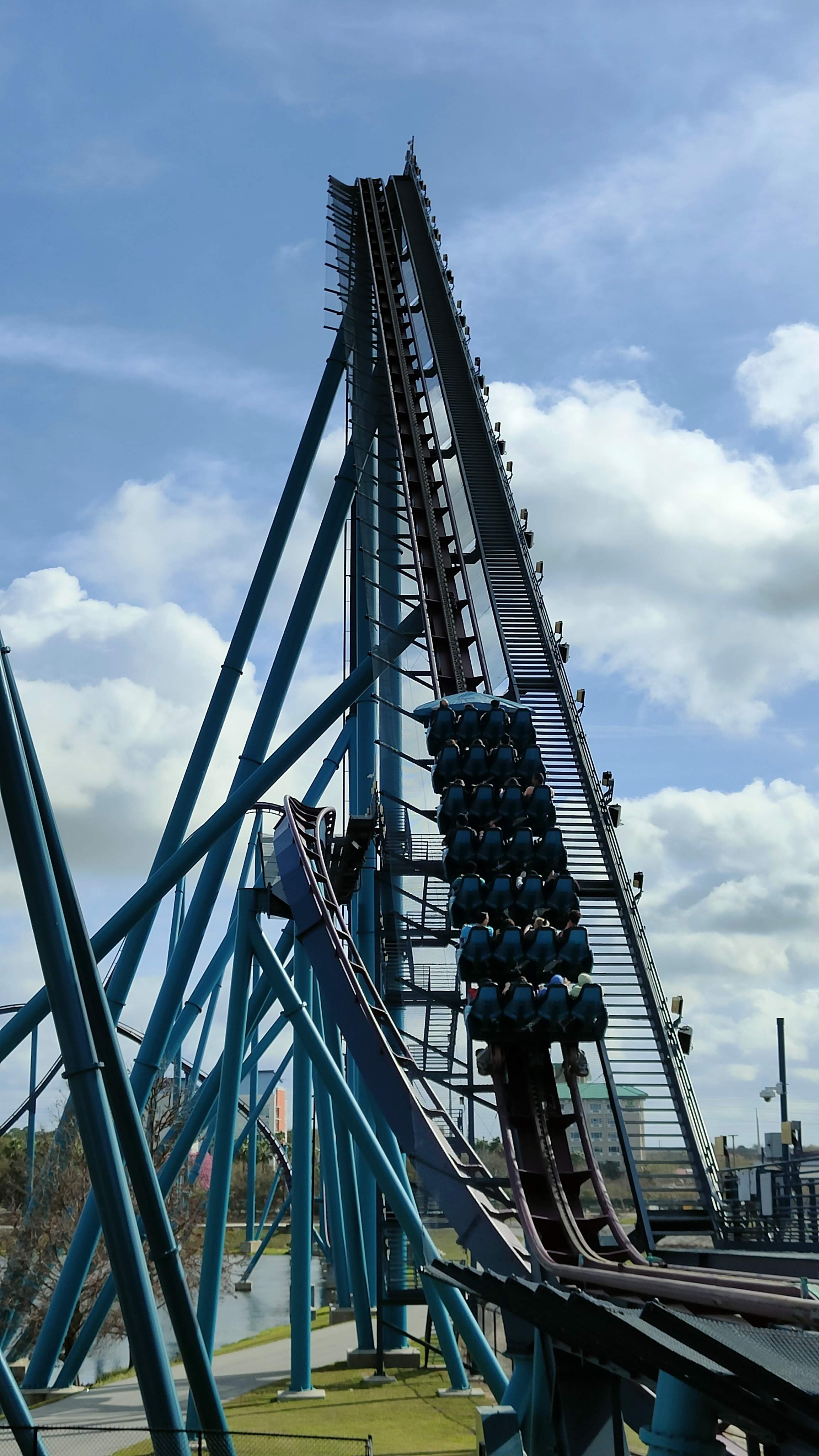 Mako à Seaworld