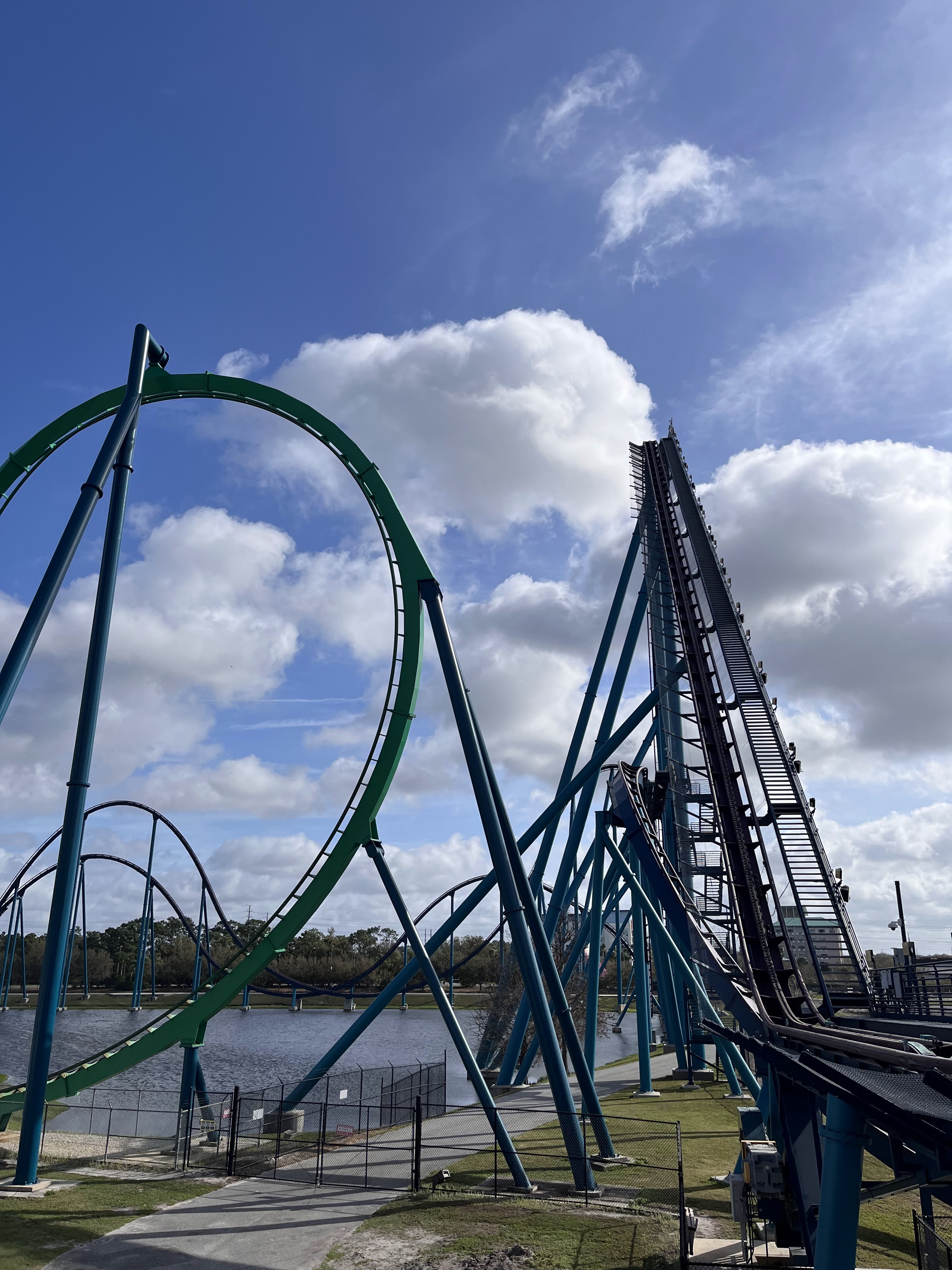 Mako à Seaworld, avec Kraken à côté