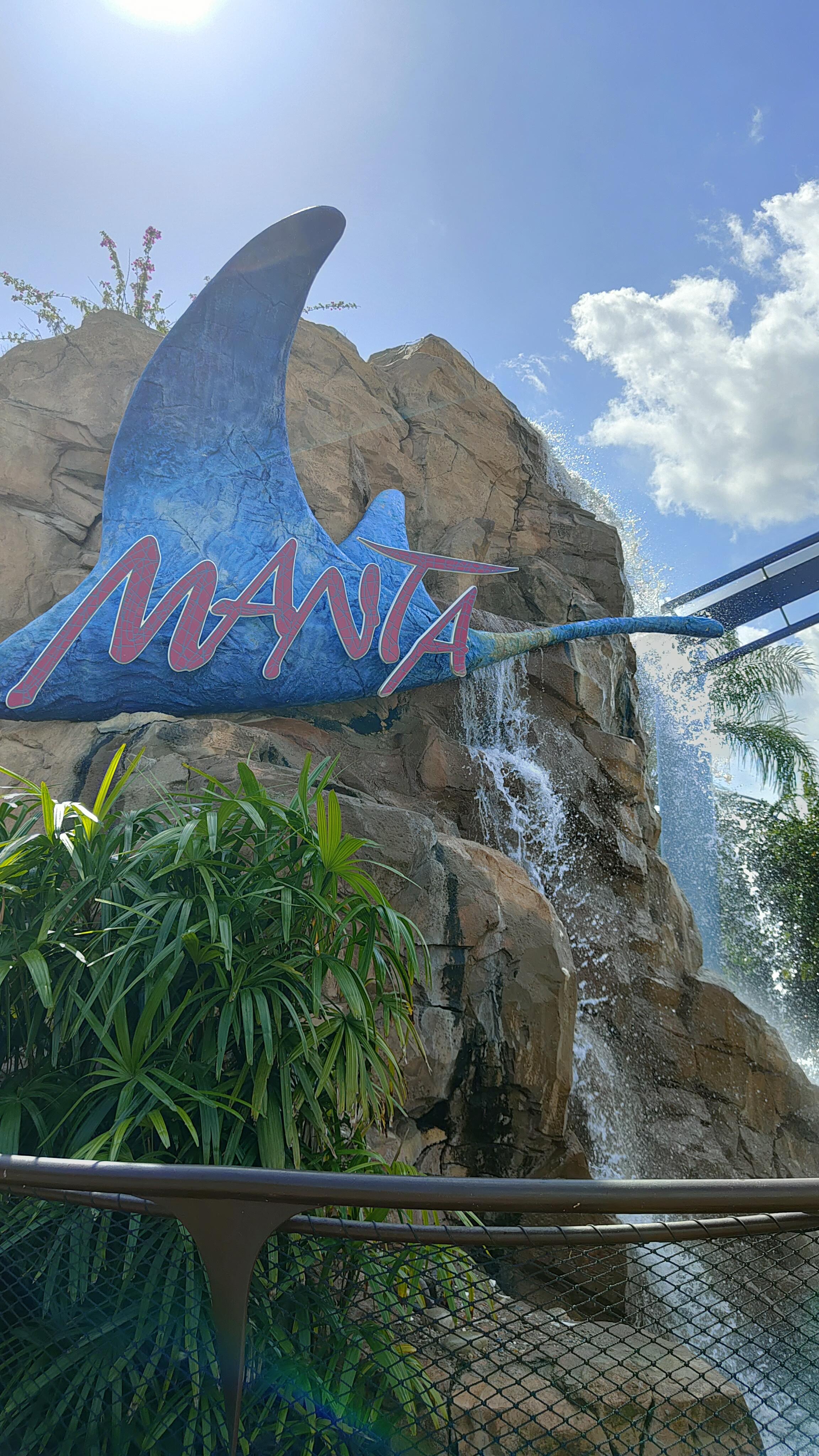 Manta à Seaworld
