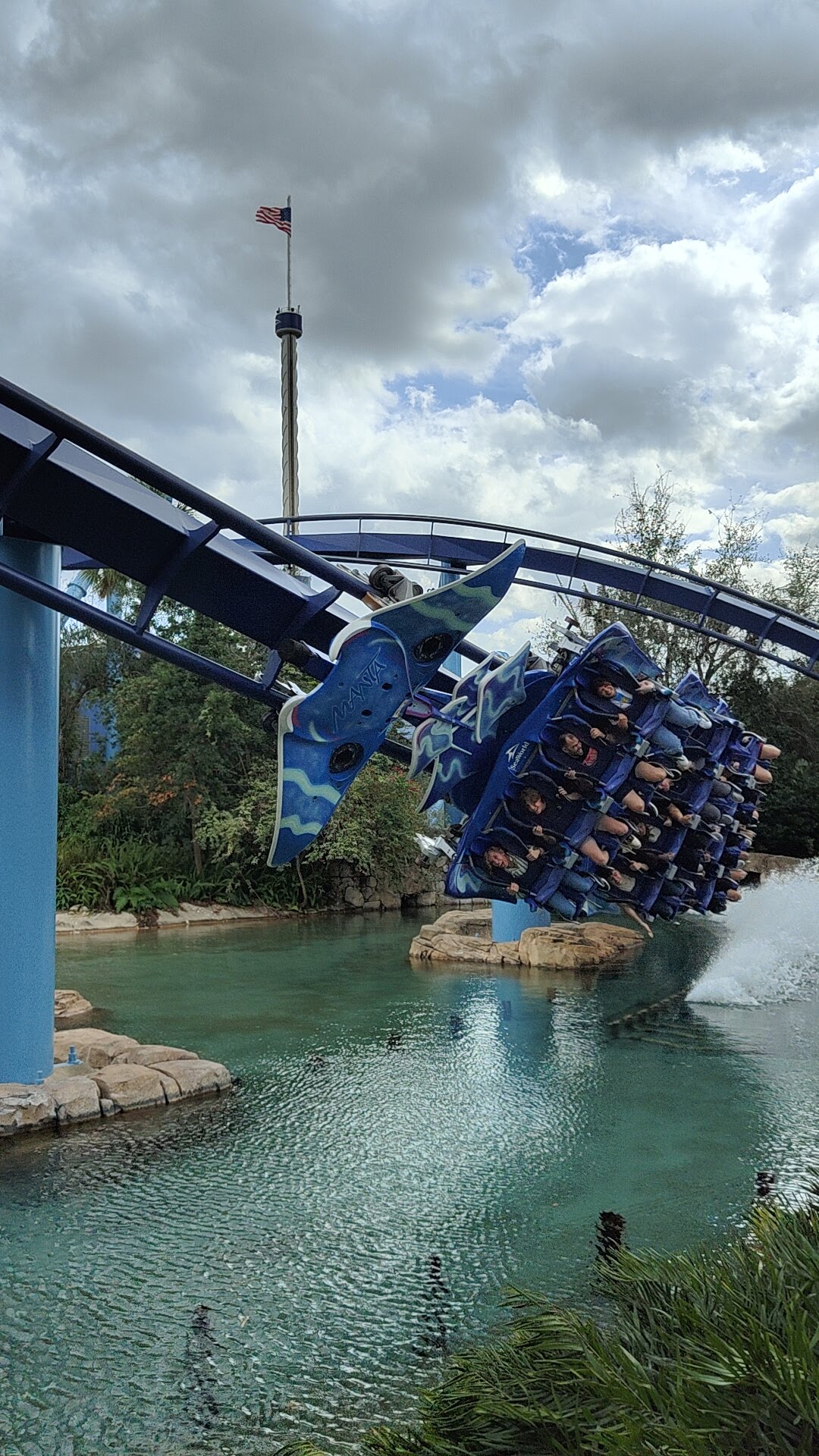 Manta à Seaworld