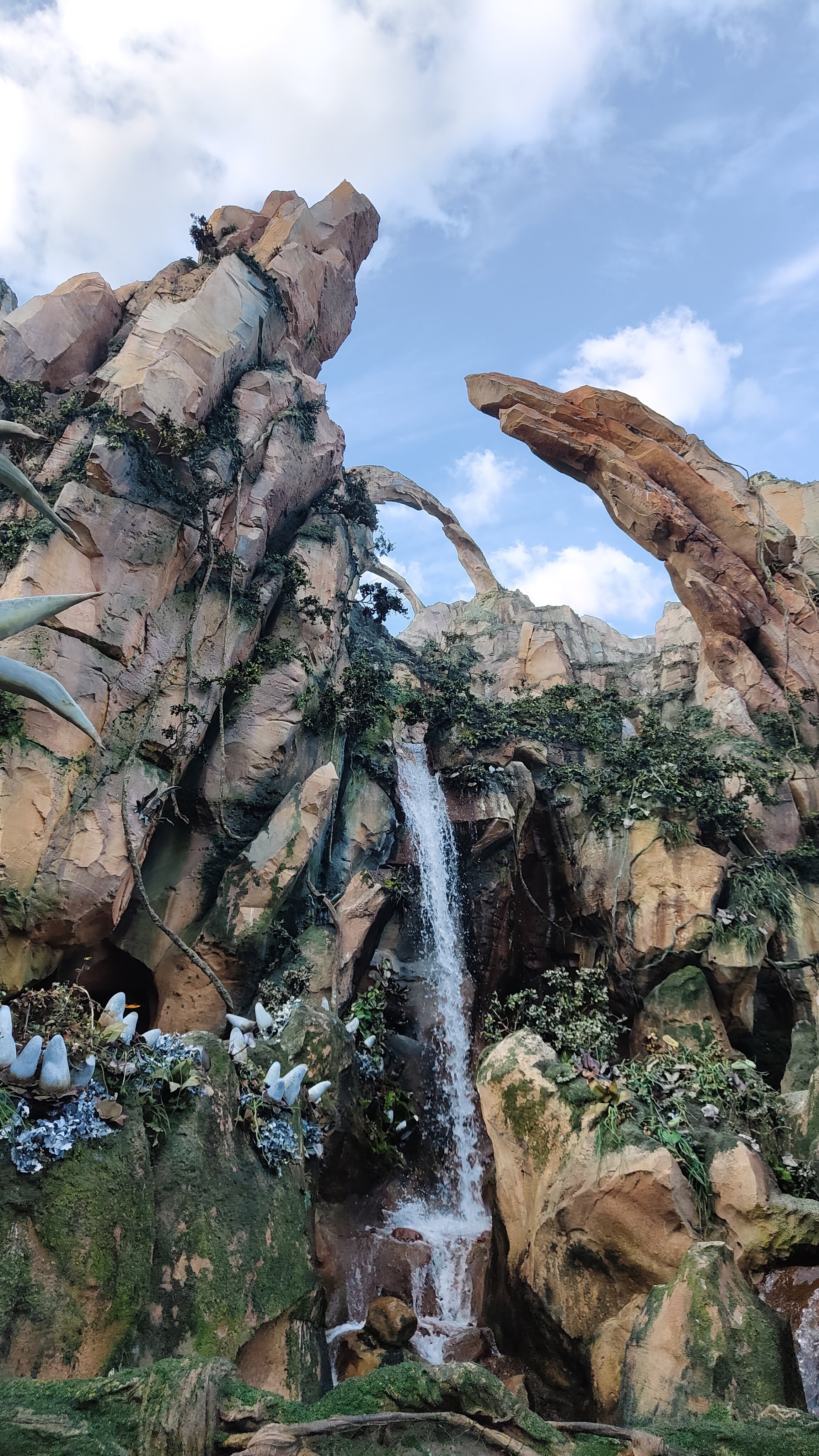 Avatar Flight of Passage à Disney's Animal Kingdom