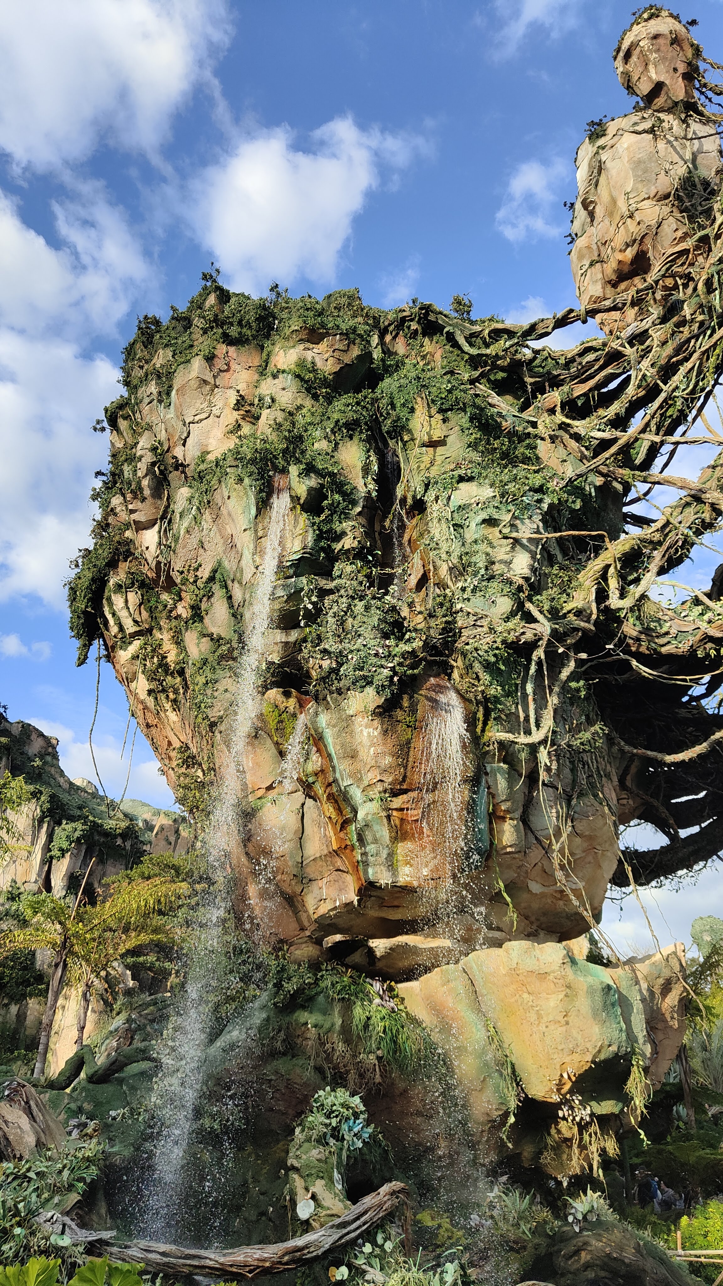 Pandora à Disney's Animal Kingdom