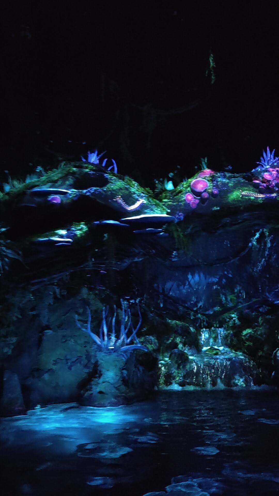 Na'vi River Journey à Disney's Animal Kingdom
