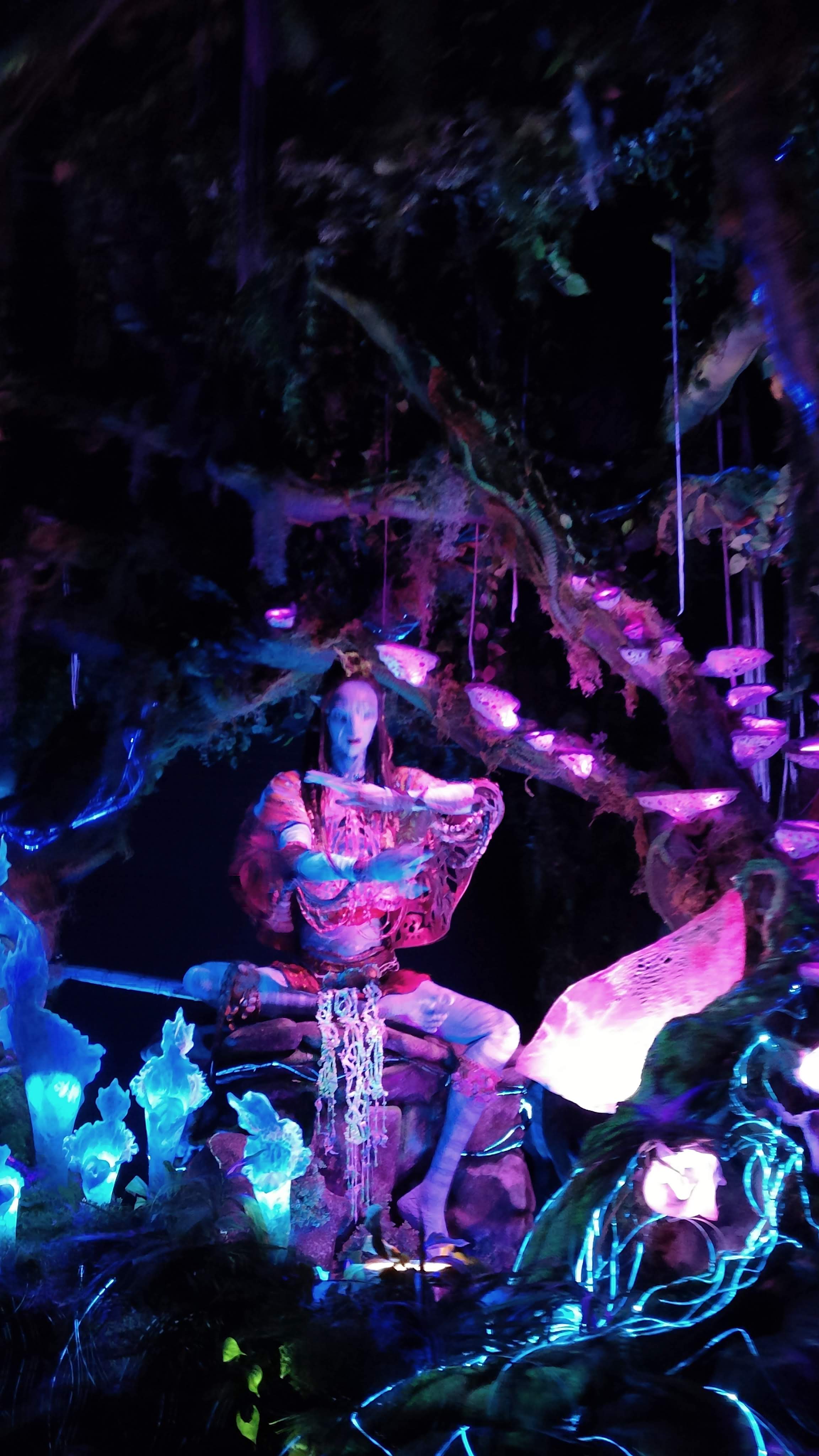 Na'vi River Journey à Disney's Animal Kingdom