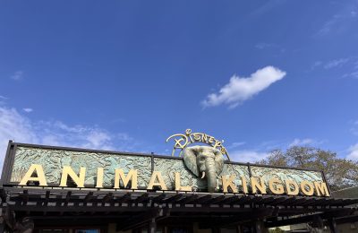 Disney's Animal Kingdom