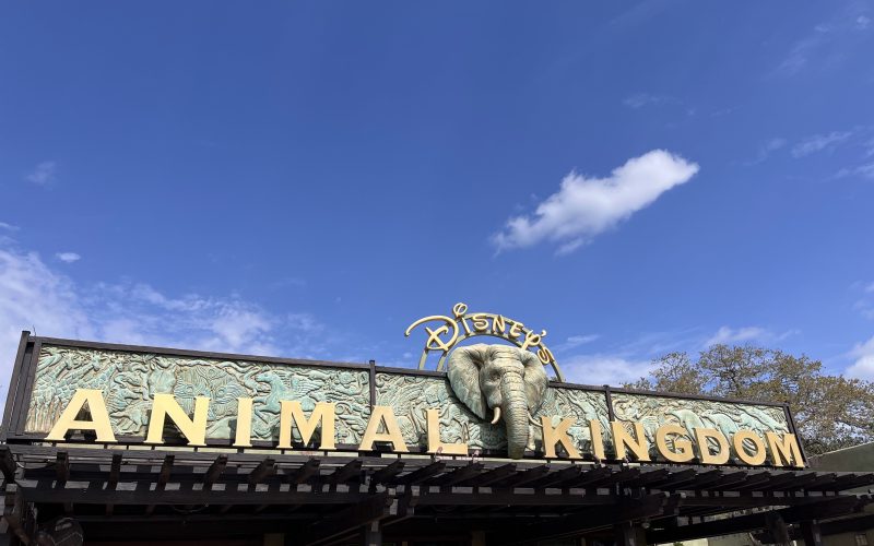 Disney's Animal Kingdom