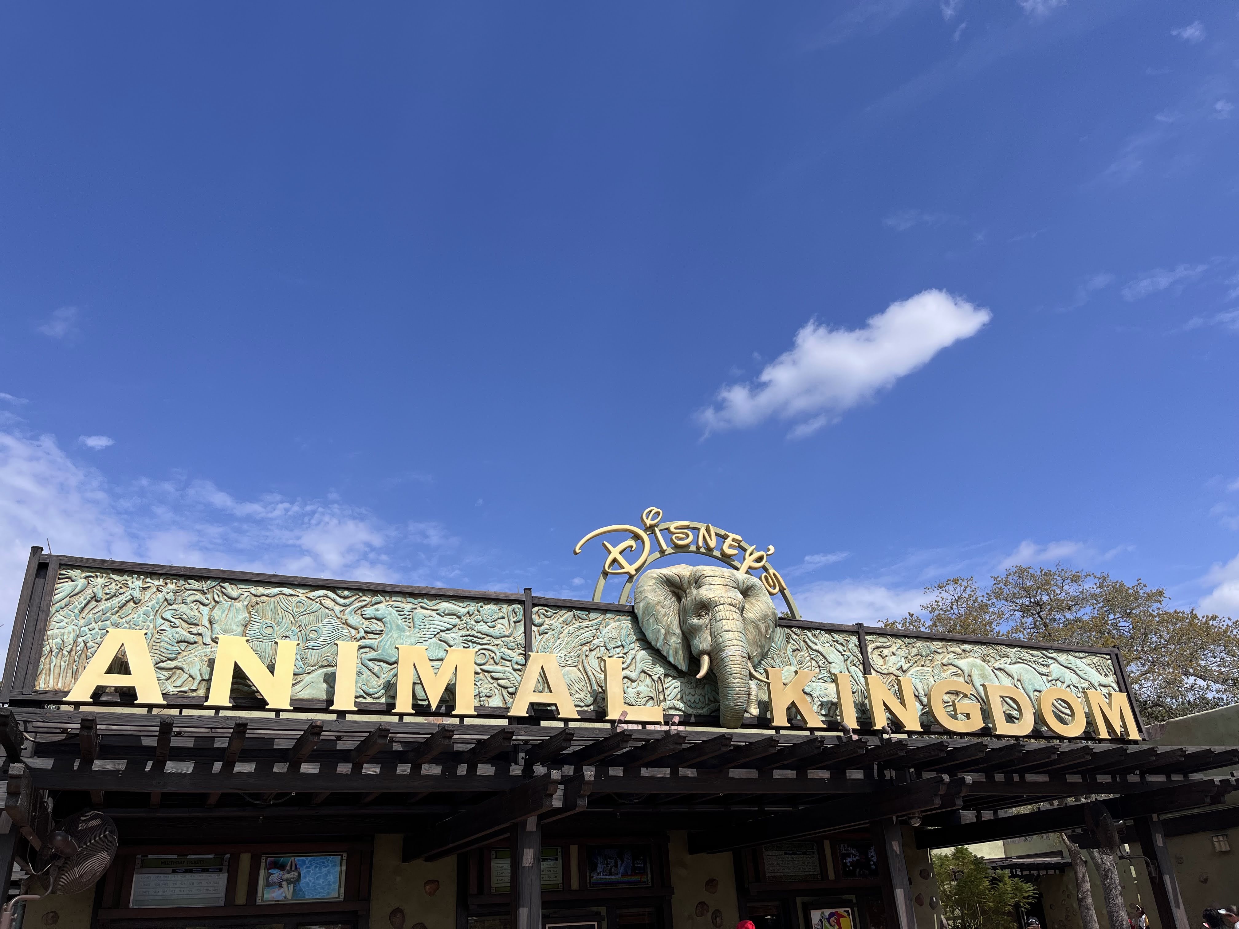 Disney's Animal Kingdom
